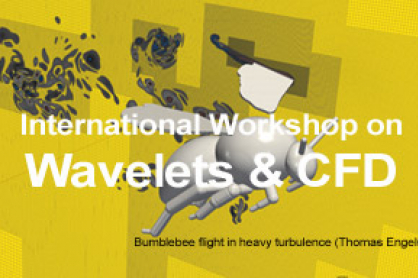 International Workshop on Wavelets & CFD